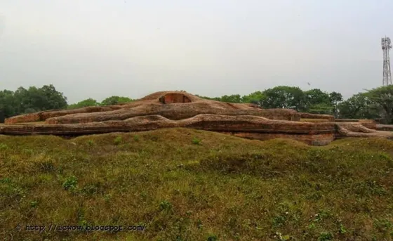 The low mound of Bhoja Vihara across a grassy field
