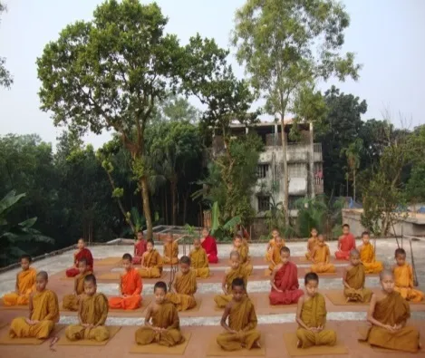 Novices meditating in rows on an open terrace among trees